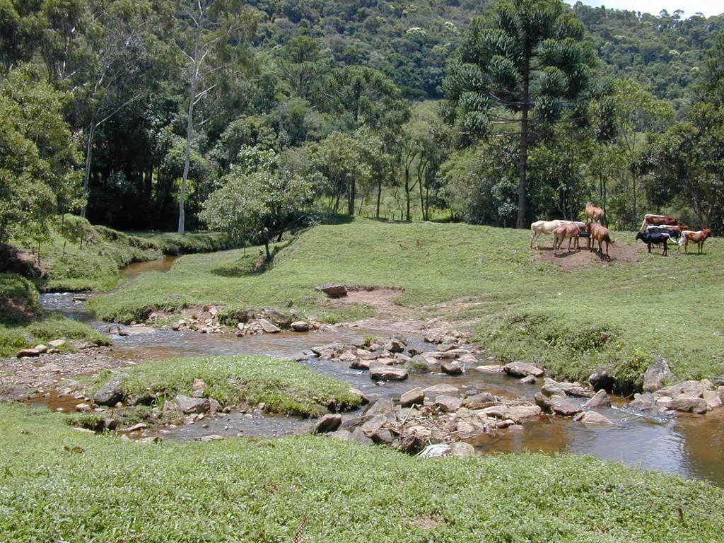 Apartamento Ferias Fazenda Usina 2 Bocaina de Minas Exterior photo